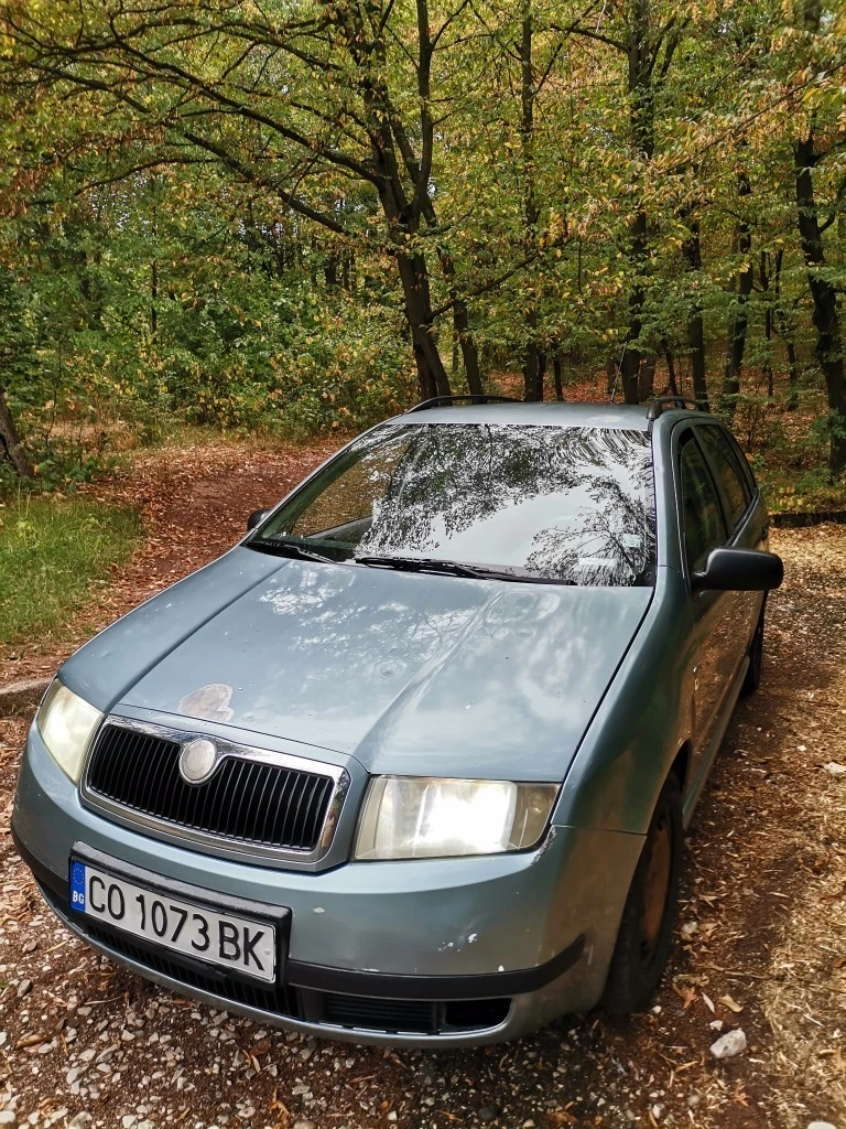 Skoda Fabia 1.4 ГАЗ, снимка 2 - Автомобили и джипове - 53155848