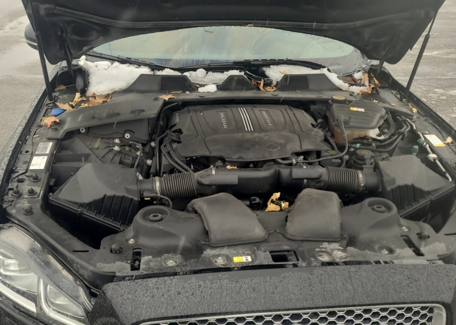 Jaguar Xj XJL PORTFOLIO | Mobile.bg   13