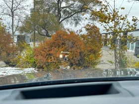 BMW X5 * xDrive40i * CARFAX * ЦЕНА ДО БГ, снимка 17