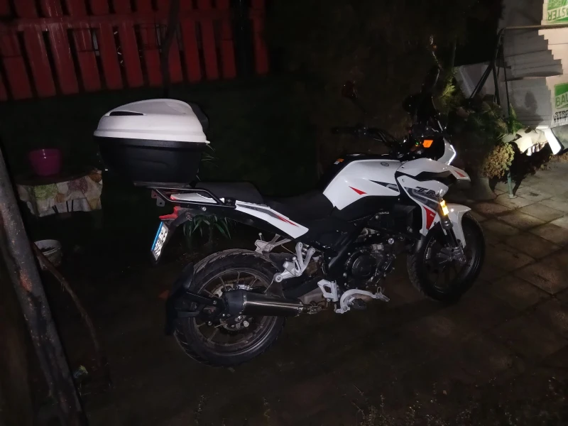 Benelli 250, снимка 12 - Мотоциклети и мототехника - 53298400