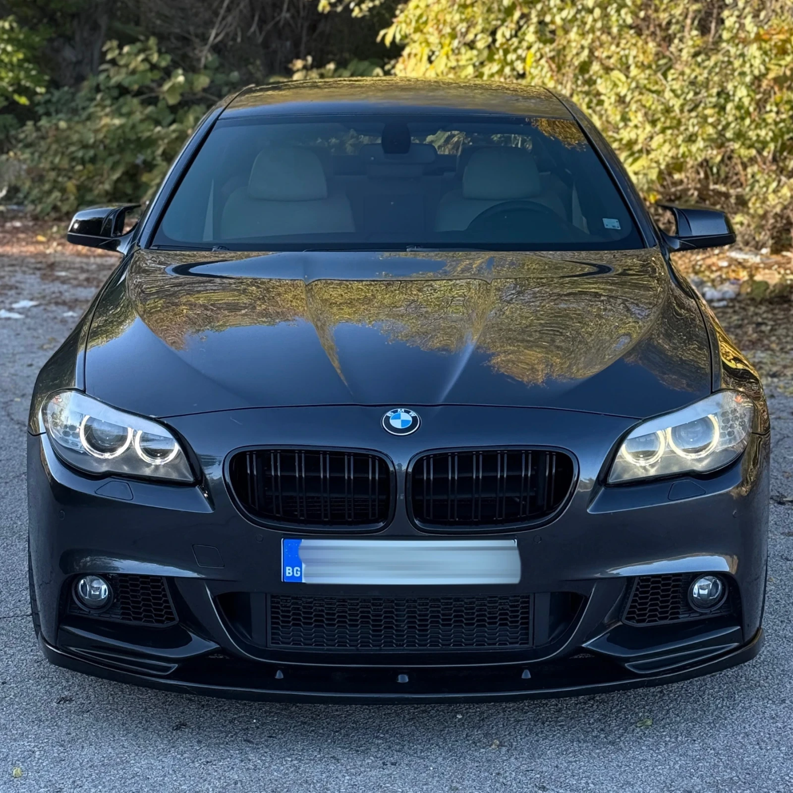 BMW 530 xDrive/258./M PACK/COMFORT/SAT/360/TOP | Mobile.bg   6