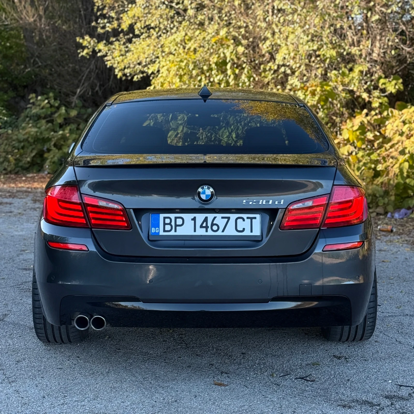 BMW 530 xDrive/258./M PACK/COMFORT/SAT/360/TOP | Mobile.bg   3