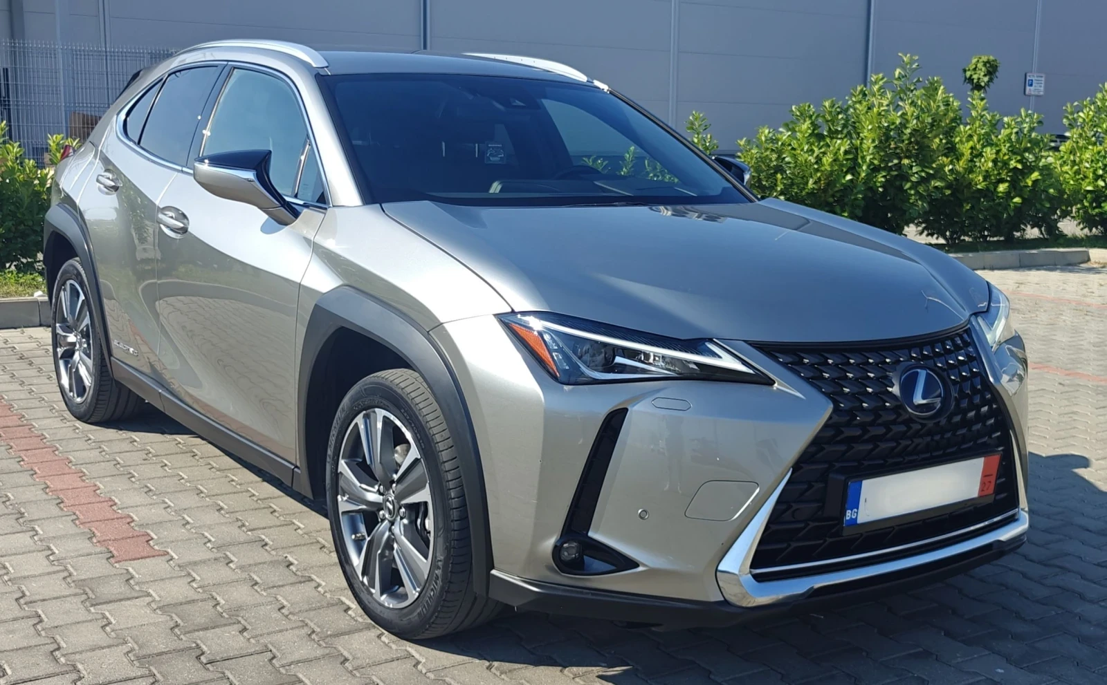 Lexus UX 300e Premium/204hp/55kwh