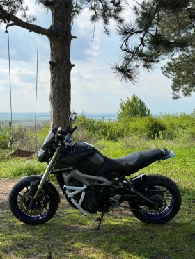 Yamaha Mt-09, снимка 13