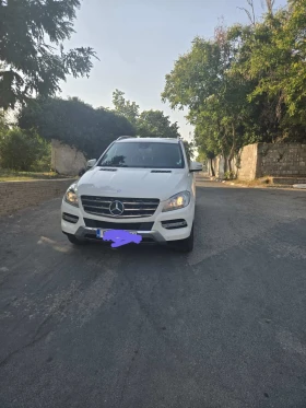 Mercedes-Benz ML 250, снимка 1