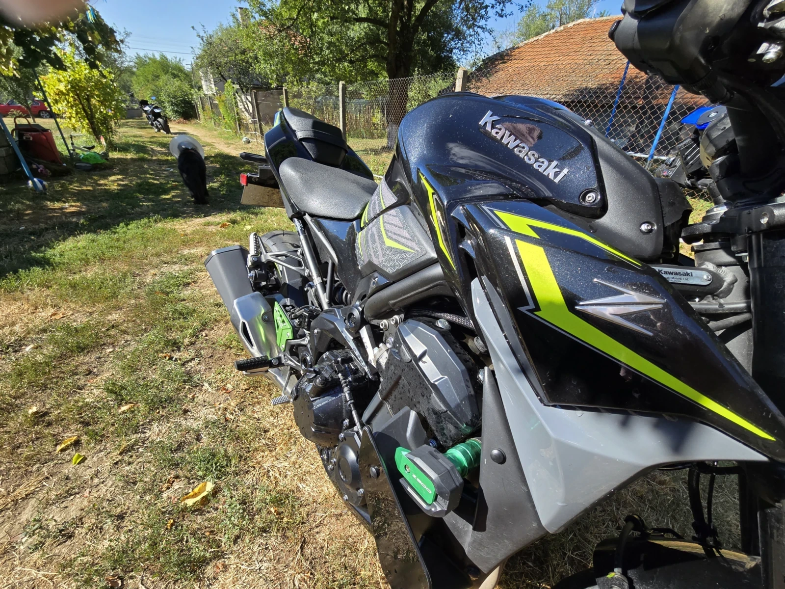 Kawasaki Z Z900 2024  - изображение 6