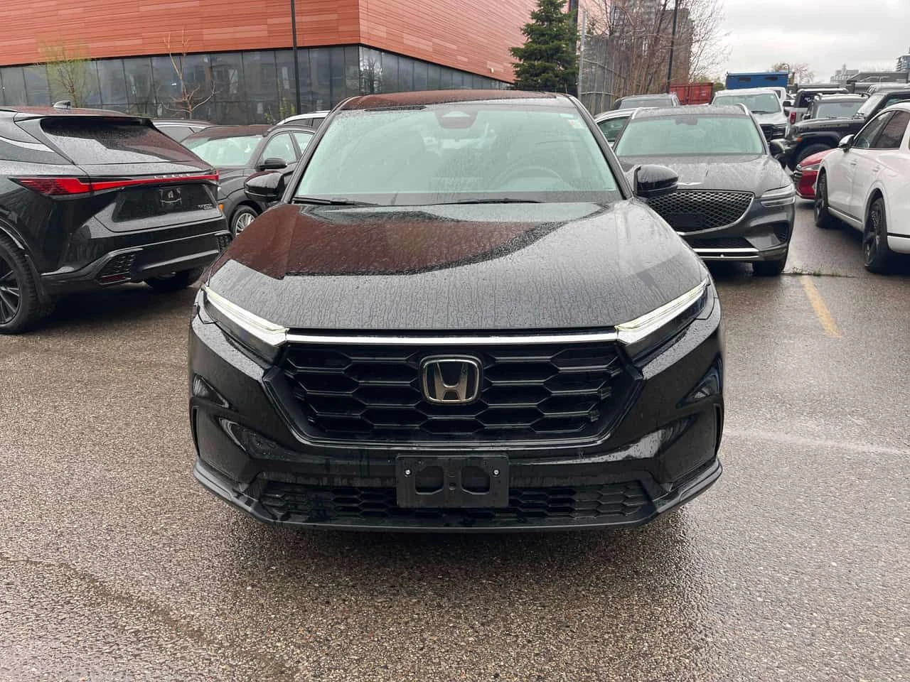 Honda Cr-v | LX B | ПОДГРЕВ | CARFAX | , снимка 6 - Автомобили и джипове - 54445342