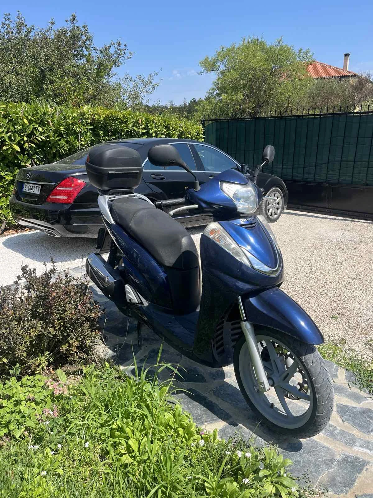 Honda Sh  - изображение 2