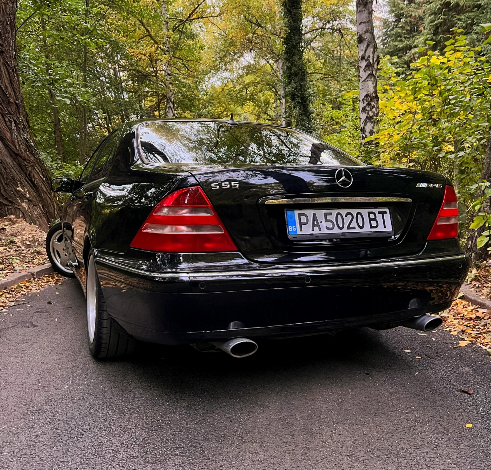 Mercedes-Benz S 55 AMG, снимка 4 - Автомобили и джипове - 54127000