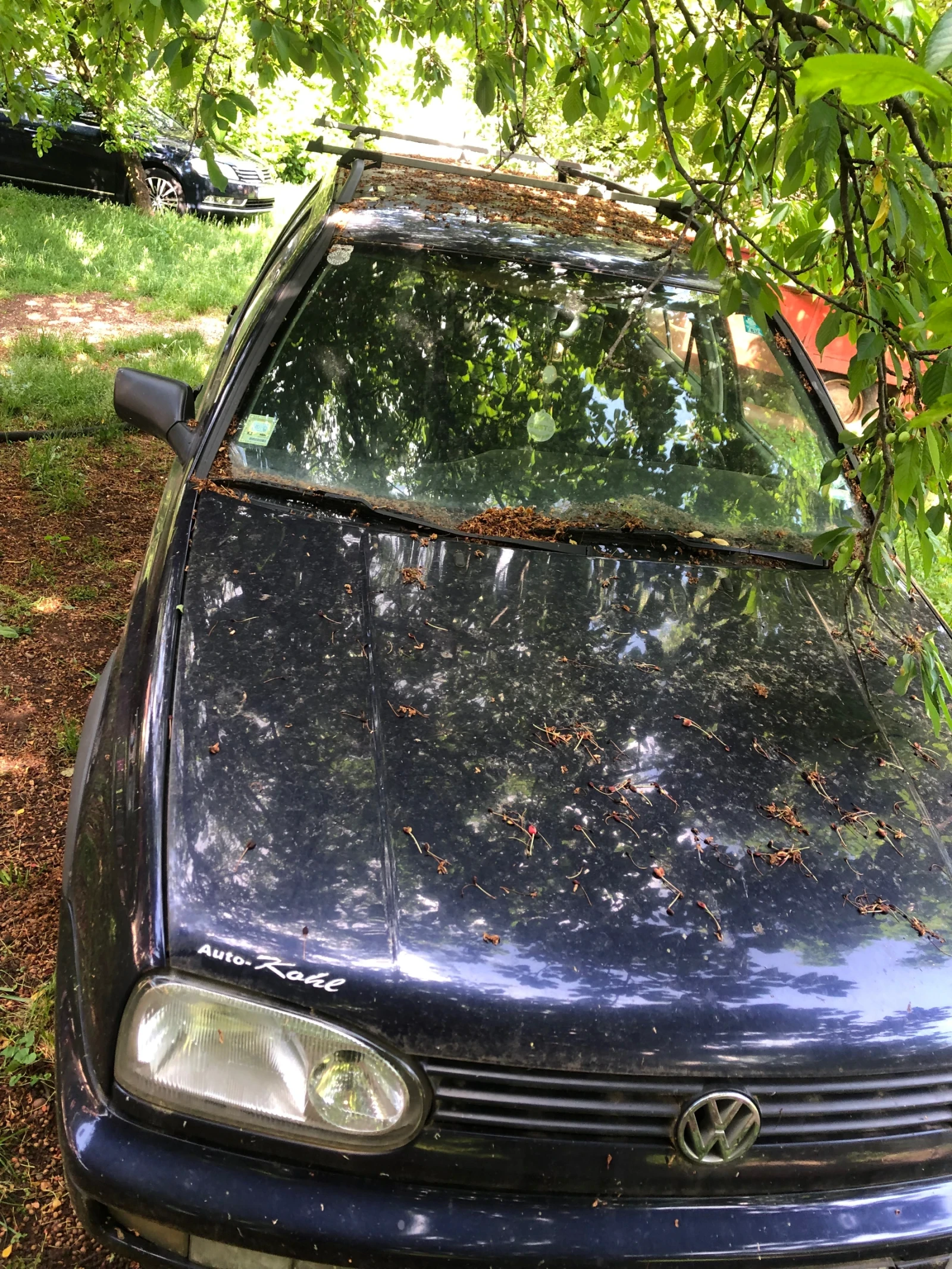 VW Golf Sinchro