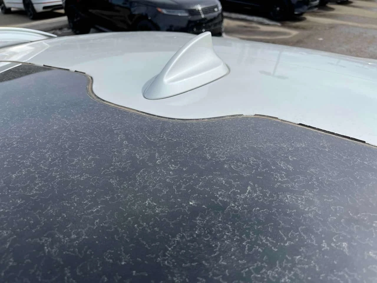 BMW X7 xDrive40i/360/HUD/��������/��������� | Mobile.bg � ����������� 12