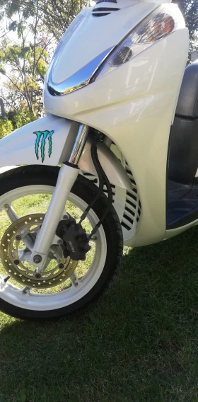 Honda Sh 300 | Mobile.bg    5