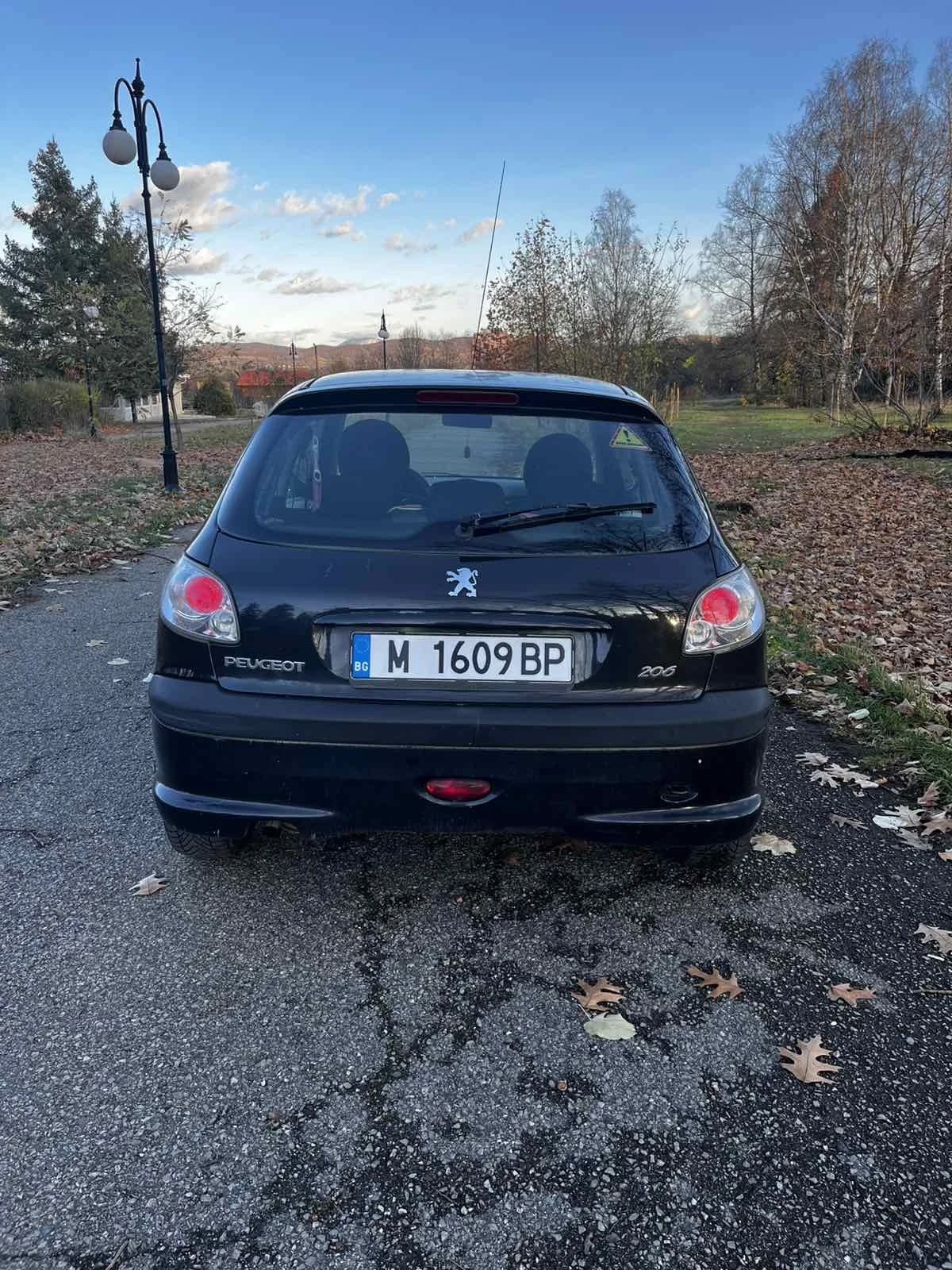 Peugeot 206  - изображение 4