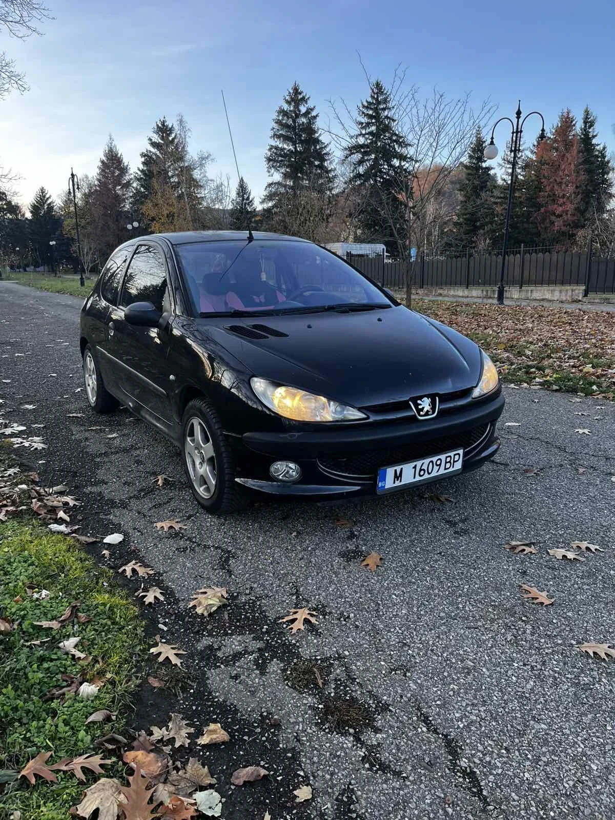 Peugeot 206  - изображение 6