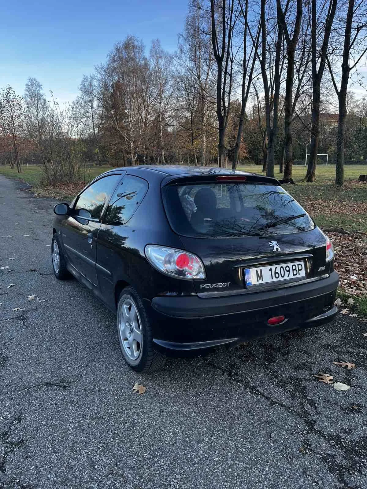 Peugeot 206  - изображение 3