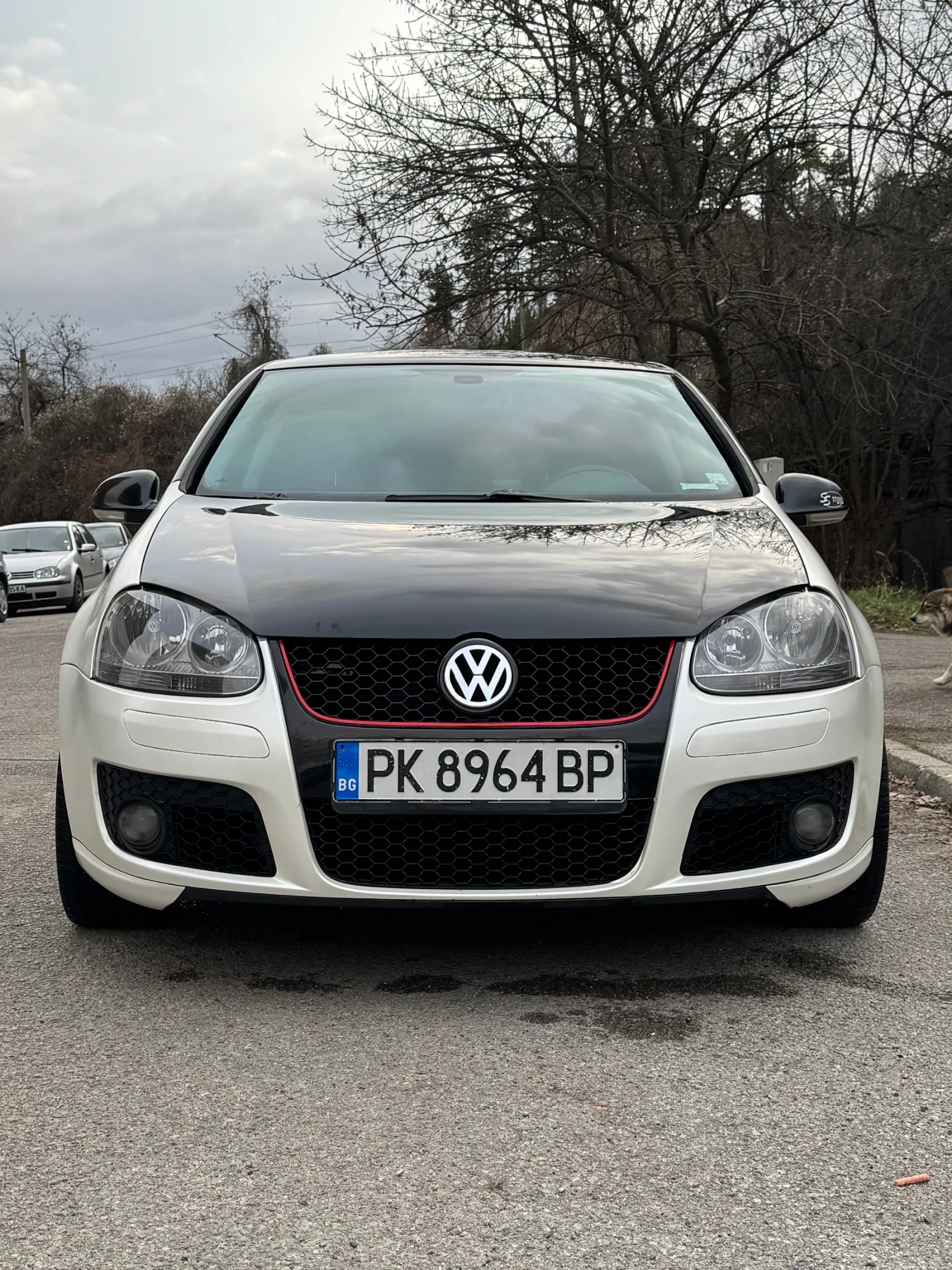 VW Golf 1.9TDI/4x4/6скорости/105к.с., снимка 3 - Автомобили и джипове - 54873306