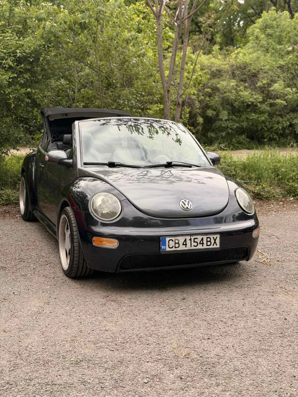 VW Beetle