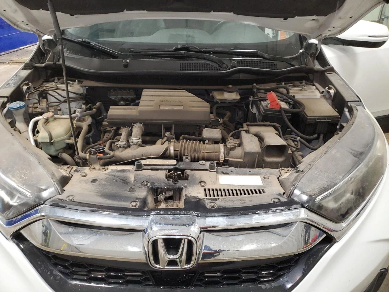 Honda Cr-v 1.5l Exl, снимка 12 - Автомобили и джипове - 56012440