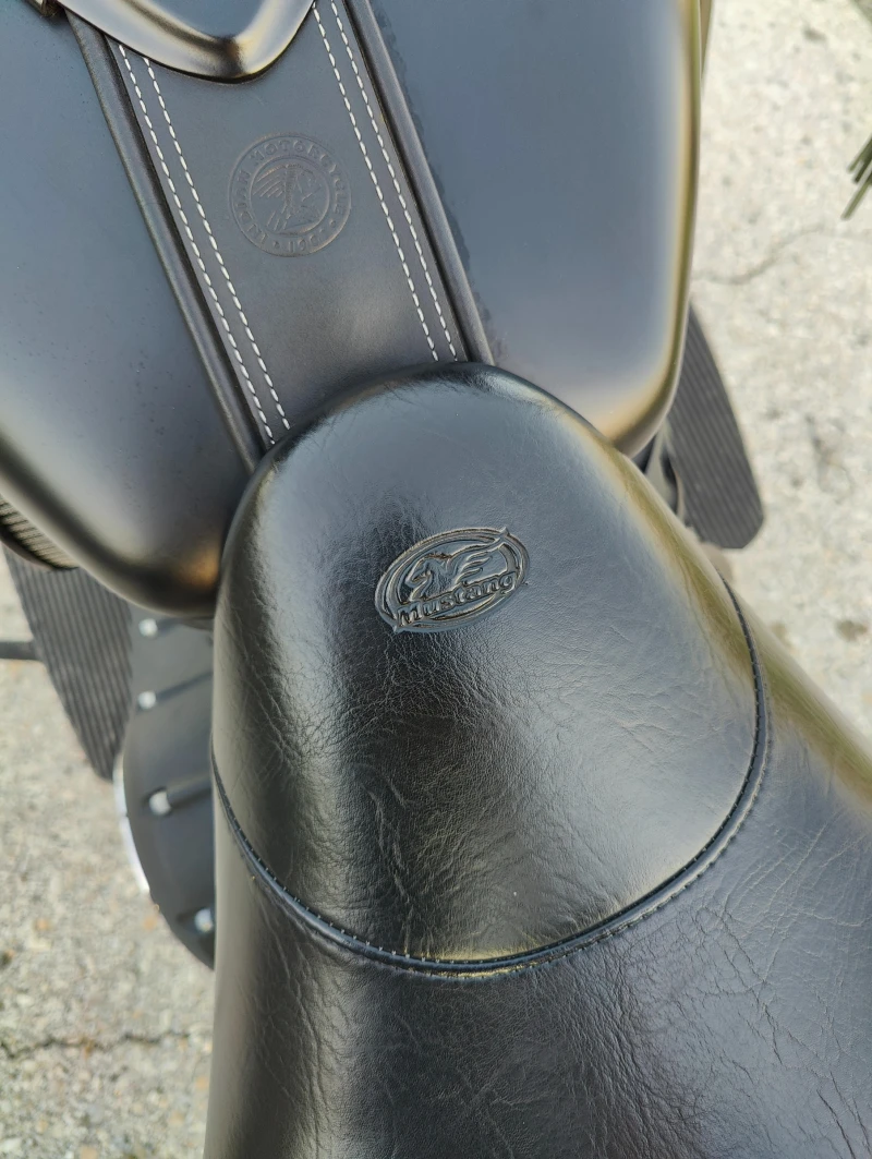 Indian Chieftain Dark Horse, снимка 6 - Мотоциклети и мототехника - 51980113