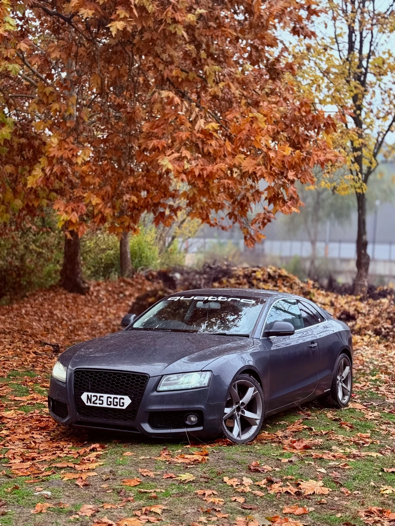 Audi A5 undefined | Auto.bg — изображение 1
