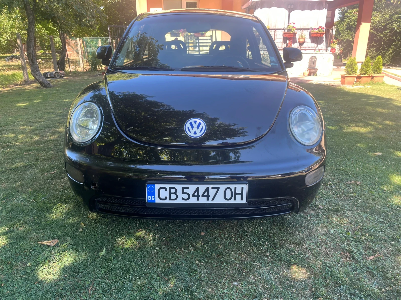 VW Beetle