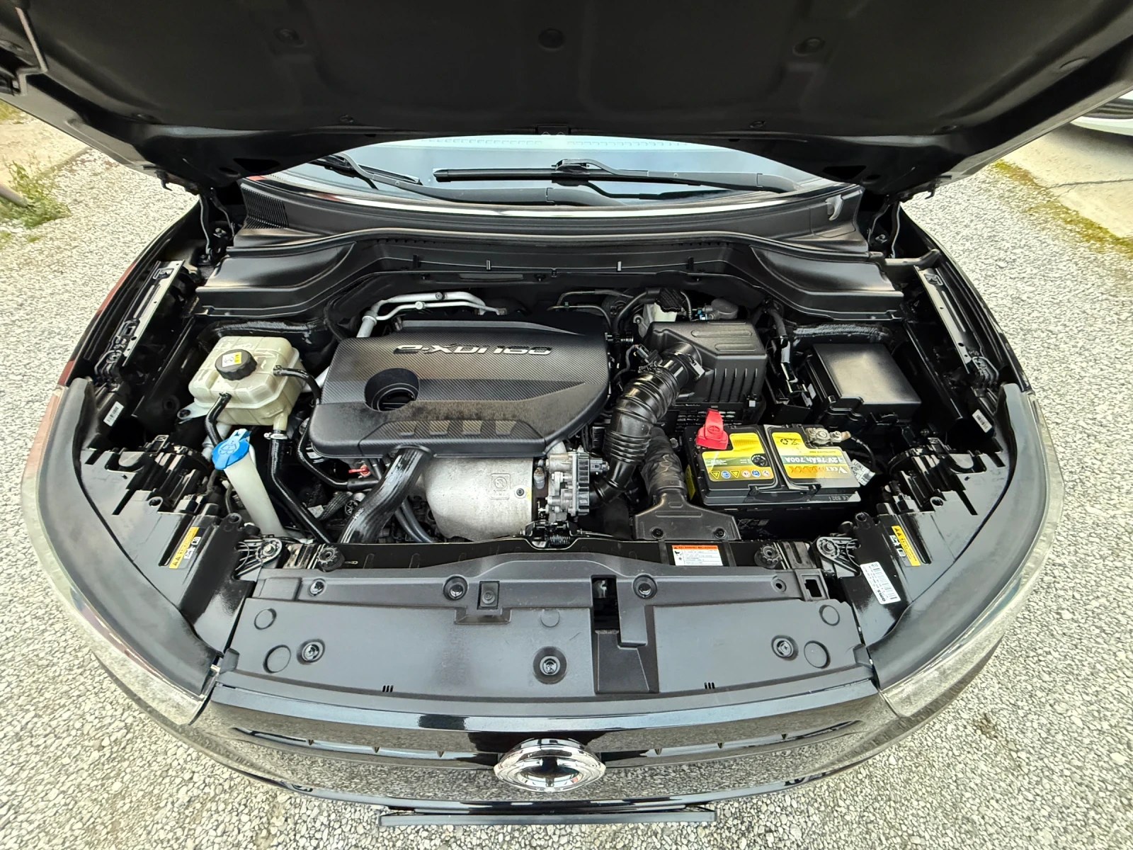 SsangYong Tivoli 1.6-XDi, LED, * 173 000* ! ! ! | Mobile.bg   13