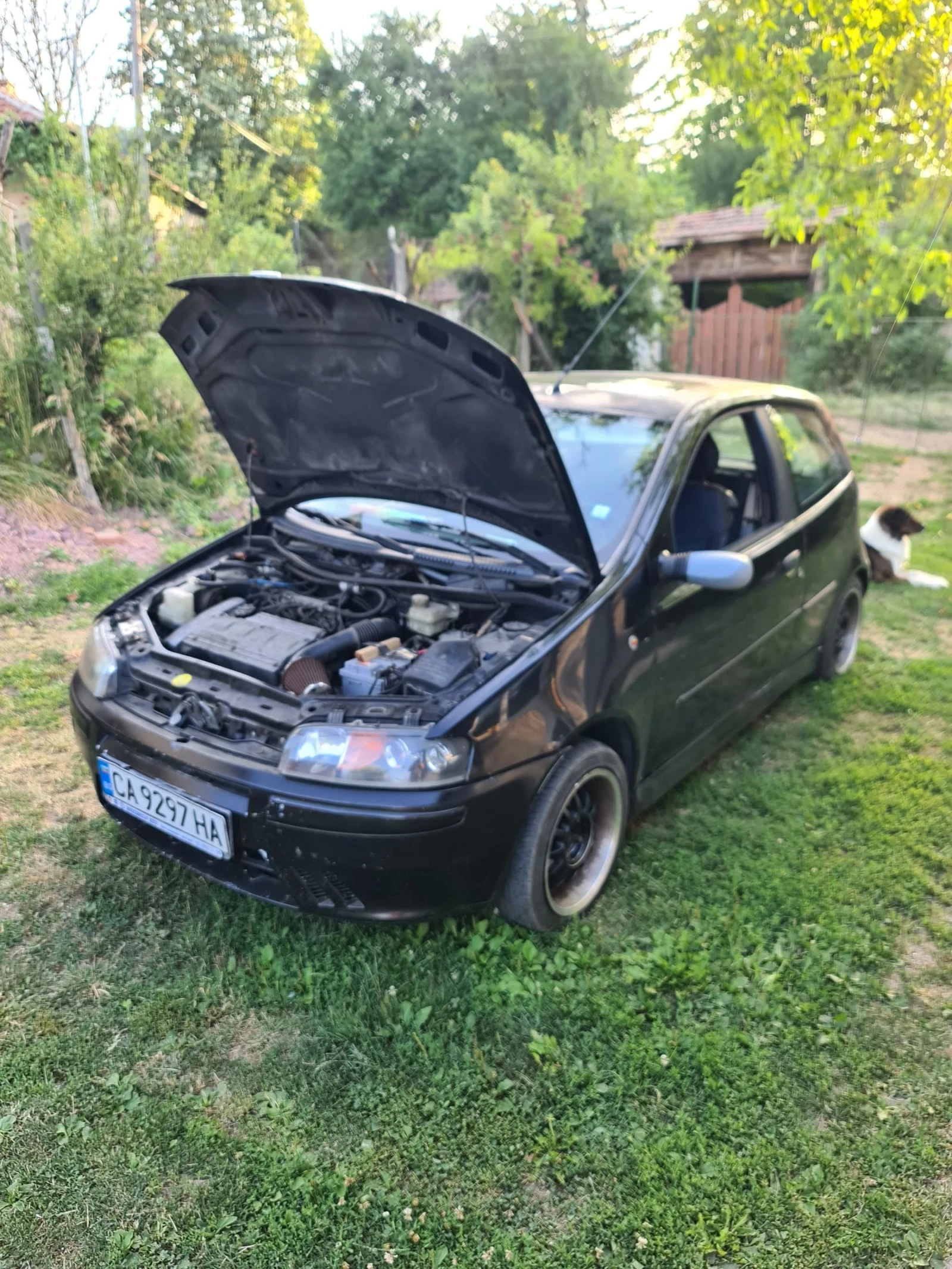 Fiat Punto HGT - изображение 4