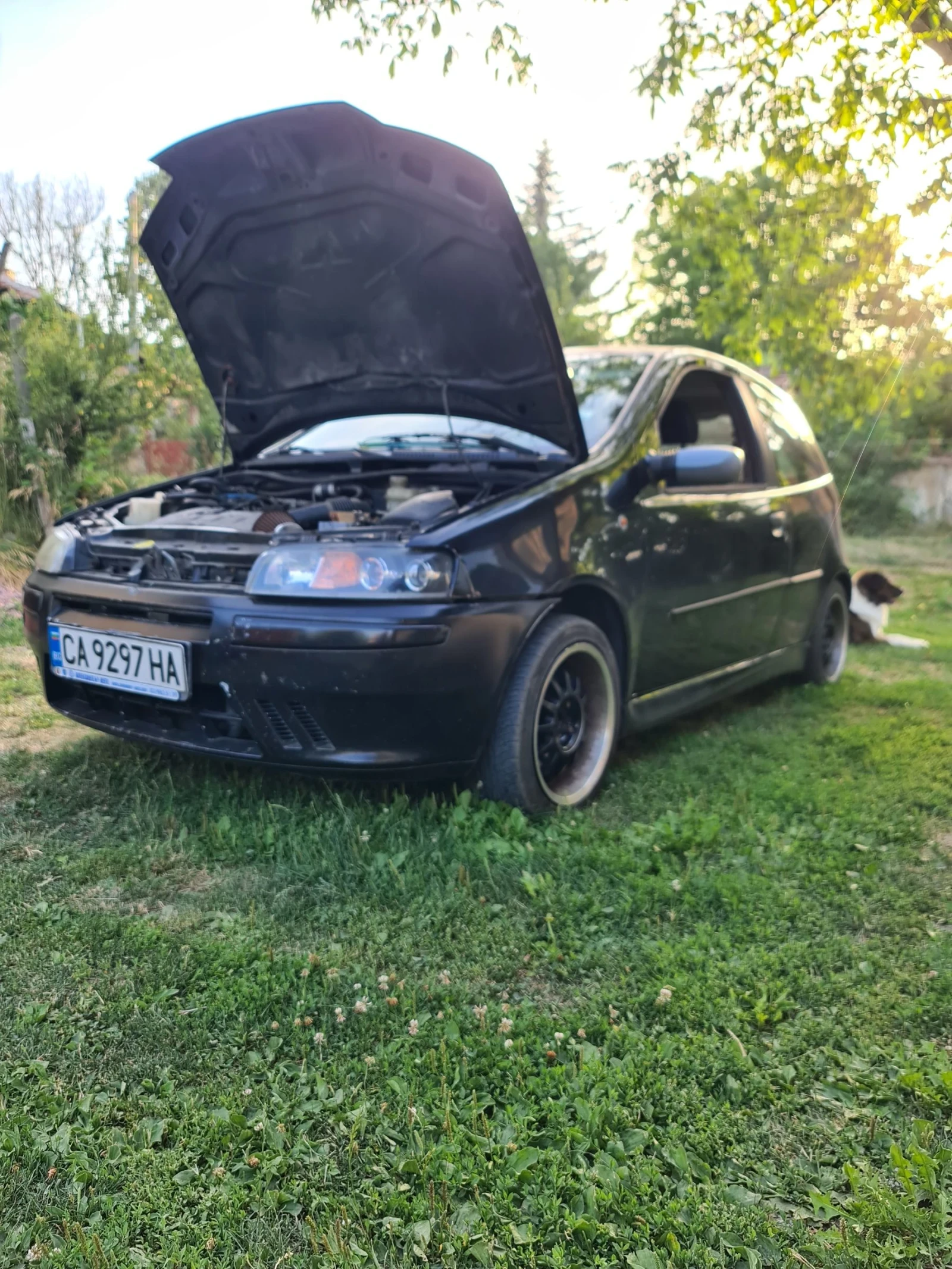Fiat Punto HGT - изображение 5
