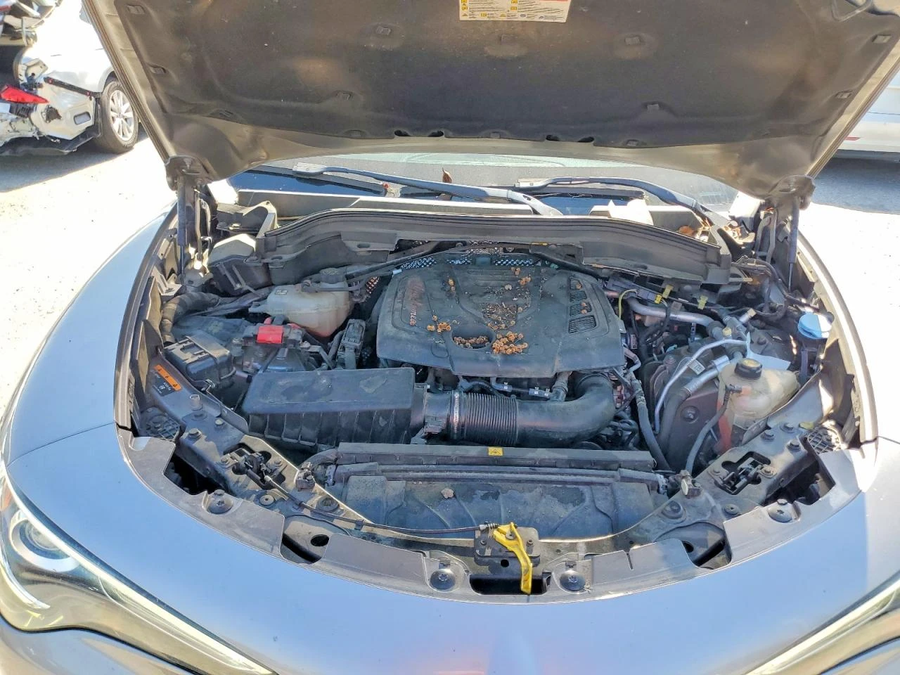 Alfa Romeo Stelvio Ti * Kрайна цена до БГ* , снимка 12 - Автомобили и джипове - 54384066