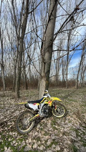 Suzuki Rmz, снимка 3