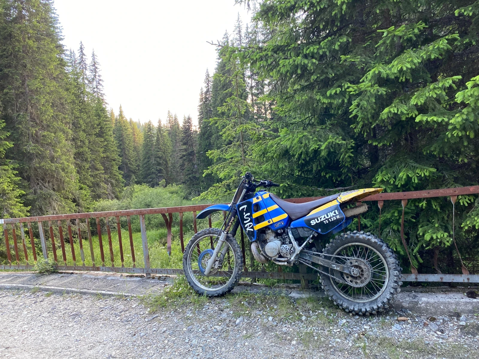 Suzuki Ts  - изображение 5