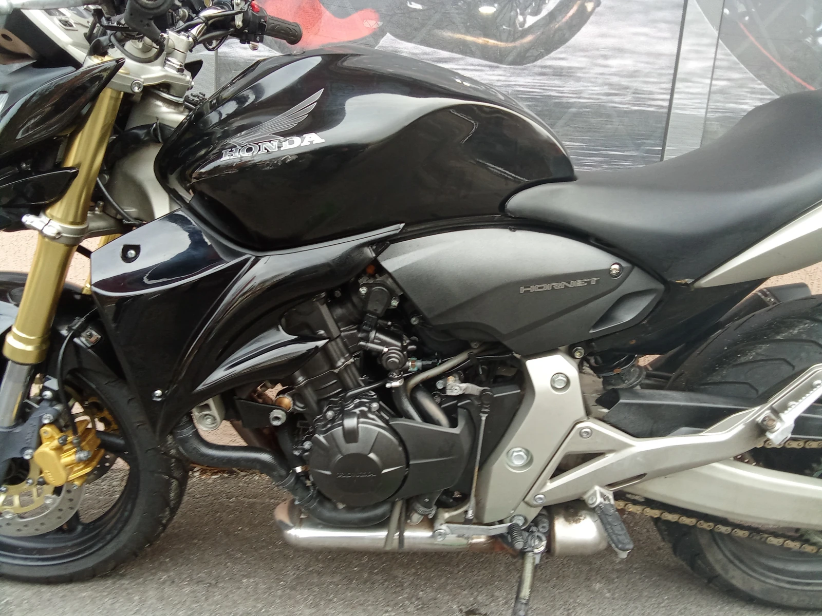 Honda Hornet | Mobile.bg � ����������� 13