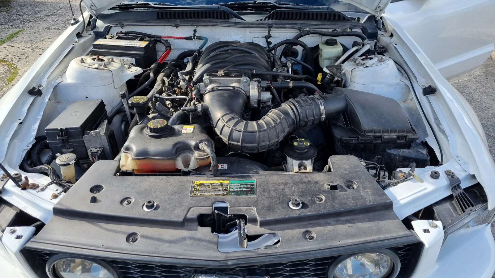 Ford Mustang 4.6 V8  GT | Mobile.bg   17