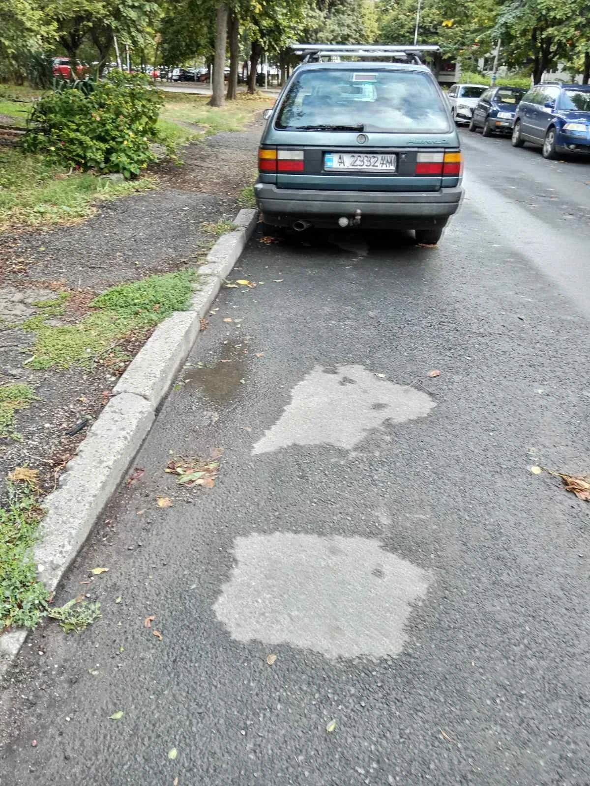 VW Passat  - изображение 3