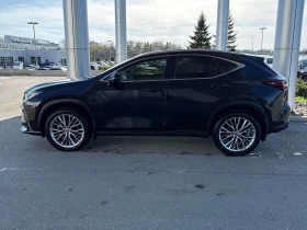 Lexus NX 350h ОБДУХВАНЕ/ПАНОРАМА/360 КАМЕРИ/ОТ ПРЕДСТАВИТЕЛСТВО, снимка 3