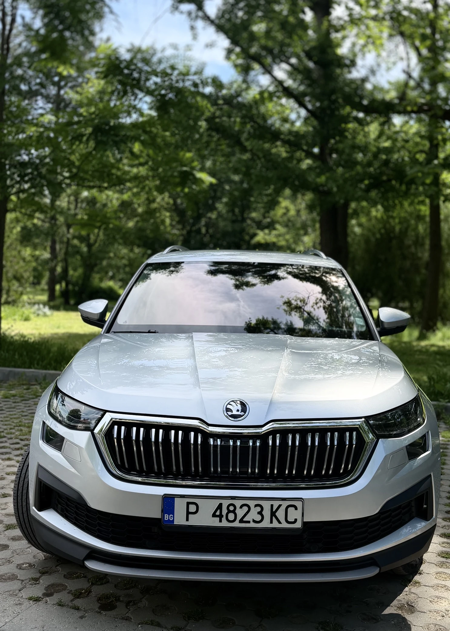 Skoda Kodiaq Vision | Mobile.bg � ����������� 4