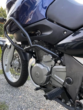 Suzuki XF 650 Freewind A2, снимка 15