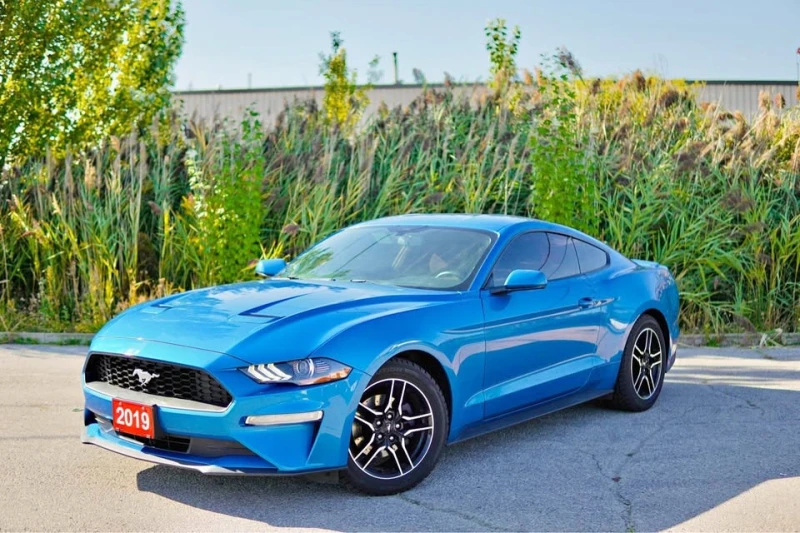 Ford Mustang ECO BOOST * * CARFAX * * АВТОКРЕДИТ* *  - 31999 лв. / 16360.83 € - 61032309 1