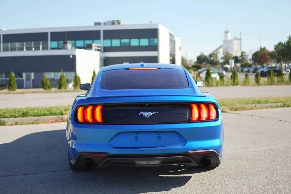 Ford Mustang ECO BOOST * * CARFAX * * АВТОКРЕДИТ* *  - изображение 4