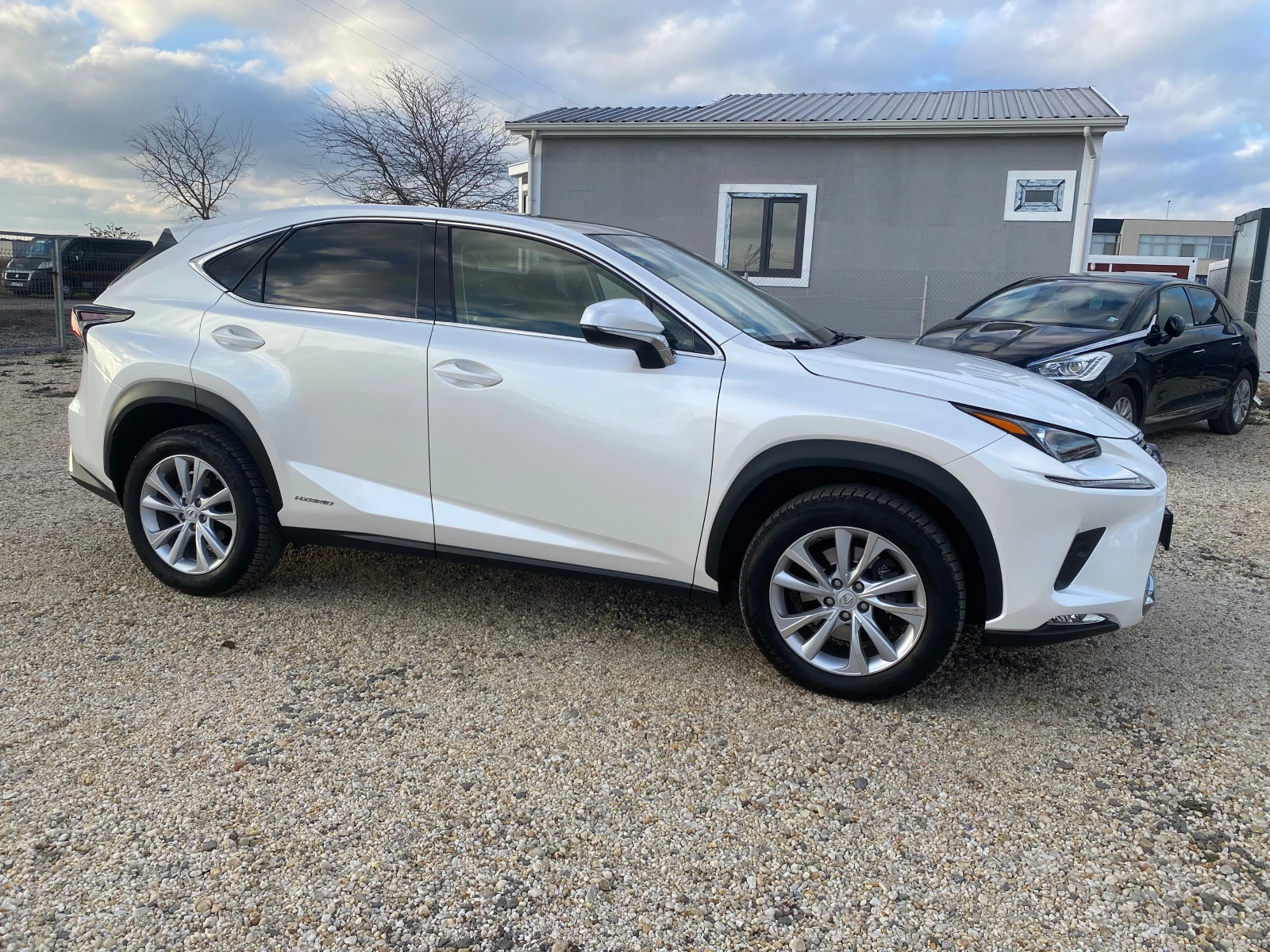 Lexus NX 300h 2, 5  78000км - изображение 4