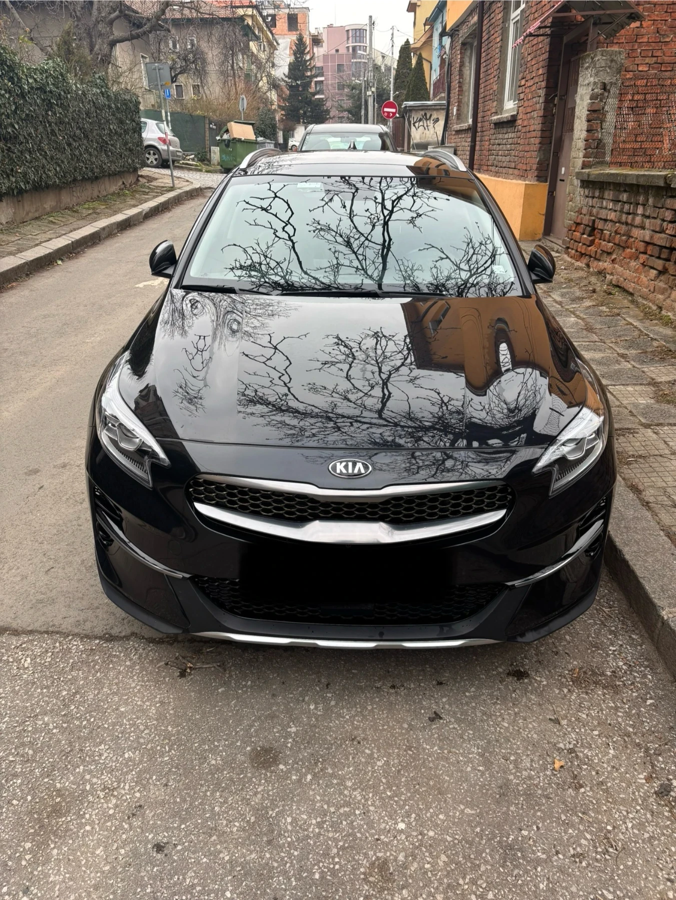 Kia XCeed  - изображение 2