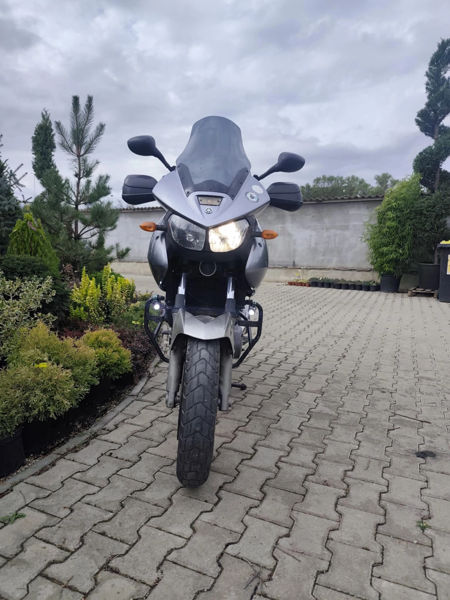 Yamaha Tdm  - изображение 6