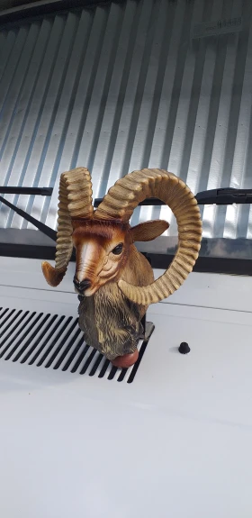 Кемпер Fiat Дукато , снимка 9