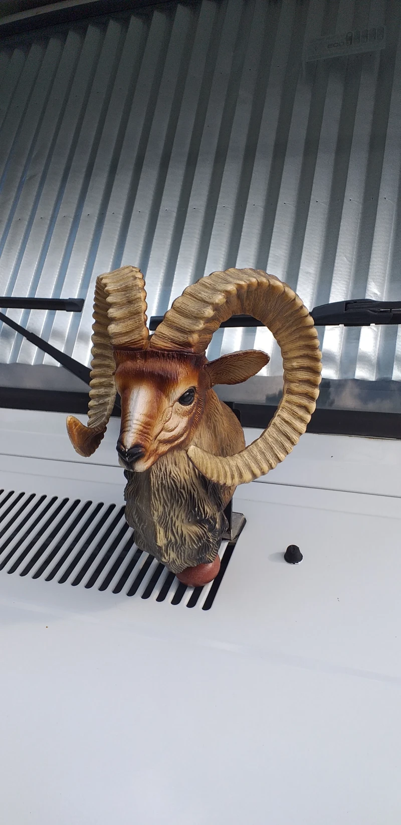 Кемпер Fiat Дукато , снимка 9 - Каравани и кемпери - 53404564