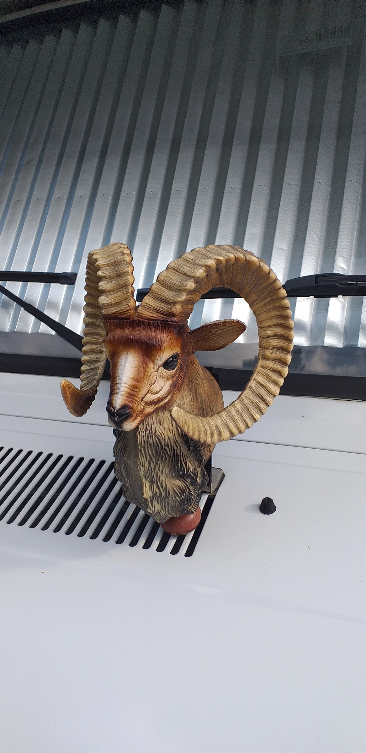 Кемпер Fiat Дукато  - изображение 9