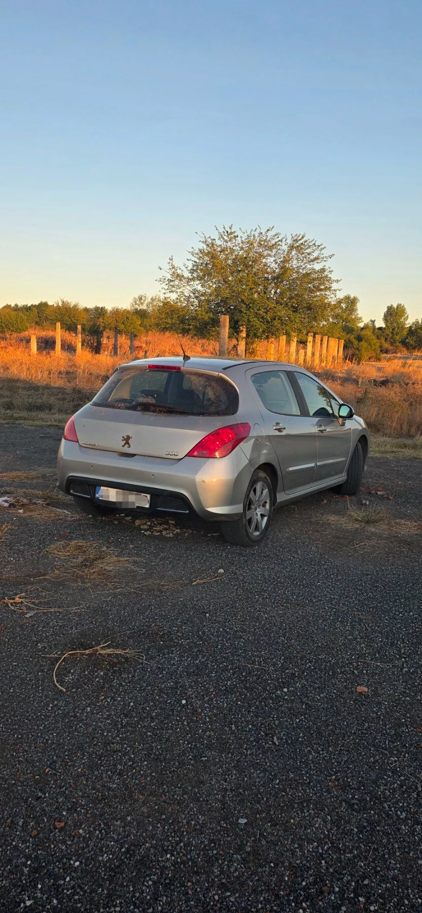 Peugeot 308 2.0hdi, снимка 2 - Автомобили и джипове - 55756282