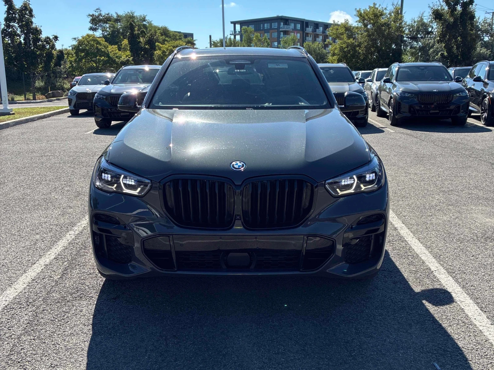 BMW X5 * xDrive45e * CARFAX * ЦЕНА ДО БГ, снимка 5 - Автомобили и джипове - 55891115