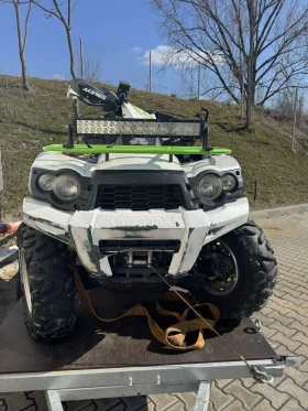  Kawasaki Brute Force