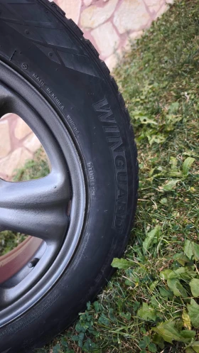 ������ ���� � ������