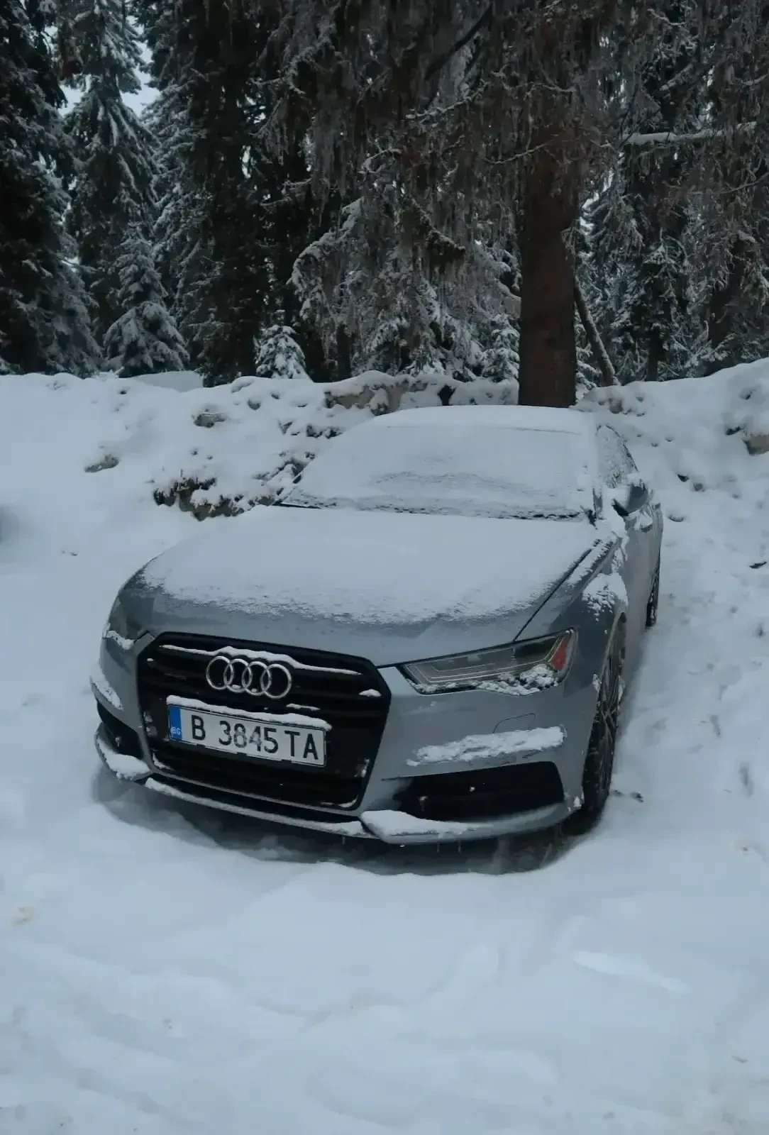 Audi A6  - изображение 6
